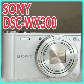 SONY カメラ DSC-WX300 充電器 SDカード 白 コンデジ 動作品