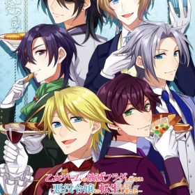 【中古】乙女ゲームの破滅フラグしかない悪役令嬢に転生してしまった… ～波乱を呼ぶ海賊～ 限定版 (限定版)ソフト:ニンテンドーSwitchソフト／恋愛青春 乙女・ゲーム