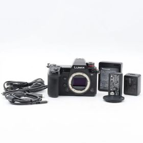 Panasonic ルミックス S1 ボディ DC-S1-K #4447