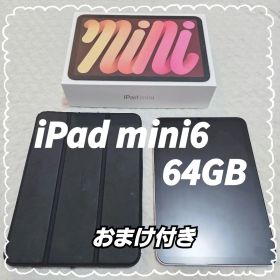 iPad mini 第6世代 ローズピンク 64GB Wi-Fiモデル 本体