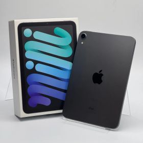 【箱付き中古B】iPad mini 第6世代 256GB スペースグレイ Wi-Fi バッテリー【90%】