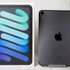 【美品】iPad mini 第6世代 256GB SIMフリー Cellular