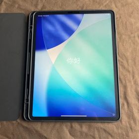 M1 iPad Pro 12.9 第5世代 128GB セルラー SIMフリー