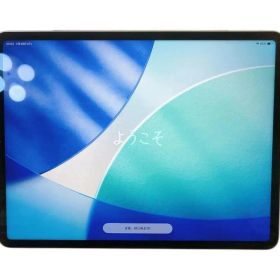 iPad Pro (12.9インチ) 第6世代 512GB スペースグレイ