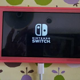 Nintendo Switch Lite ピンク ジャンク品