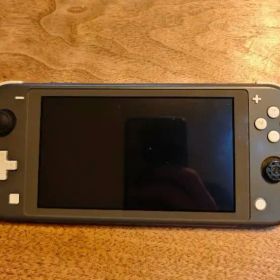t*a様 Nintendo Switch Lite グレー 本体 ジャンク