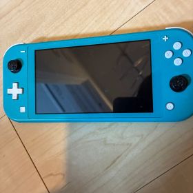 Nintendo switch ライト ジャンク