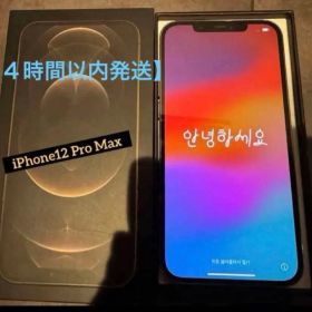 iPhone 12 Pro Max 本体 256GB SIMフリー GW値下げ
