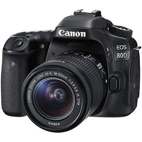 Canon EOS 80D レンズキット 良品 動作確認済み 1ヶ月保証付 高性能