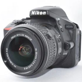 【元箱付き】ニコン Nikon D5500 レンズキット