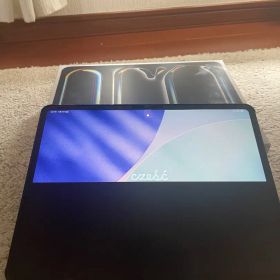 iPad Pro 13インチ M4 A2925 [256GB] 通電OK