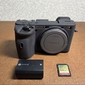 SONY α6600+SDカード128GBおまけK&Fストラップ