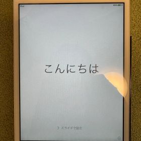 Apple iPad mini シルバー 本体