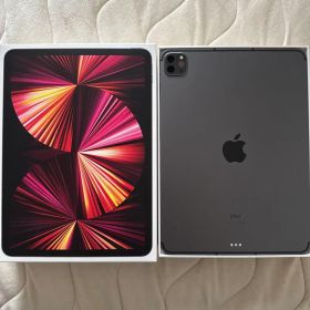 iPad Pro 11インチ 第3世代 グレイ 512GB Cellular