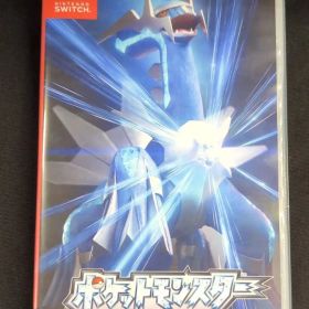 NS ポケットモンスター ブリリアントダイヤモンド