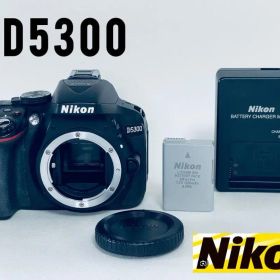 【美品】Nikon D5300 ボディ 動作◎ ショット14572回 Wi-Fi