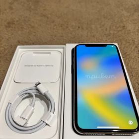 Apple iPhone X 64GB 本体 充電ケーブル付き