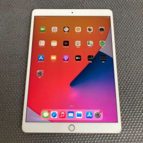 244【早い者勝ち】iPad Pro 256GB 10.5インチ WIFIモデル