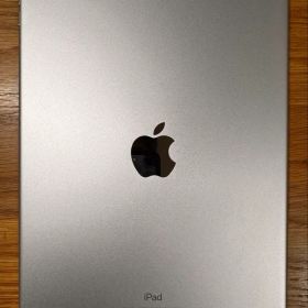 『ジャンク品』iPad Pro 10.5インチ 128GB