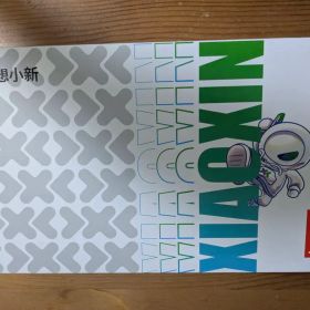 xiaoxin pad pro 12.7 2025 256GB 大陸版