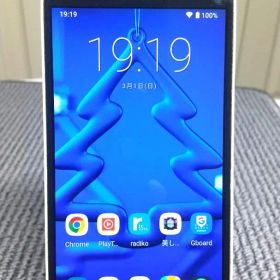 462 Android11 Galaxy SC02F 32GB カスタムROM
