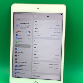 ★ちょい美品 iPad Mini 第5世代 Wi-Fi 256GB MUU62J/A ローズゴールド