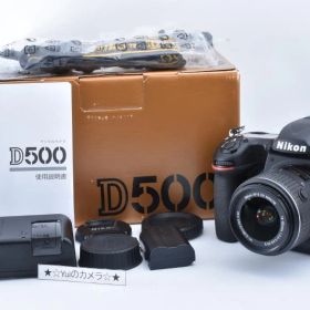 【ショット数74回】ほぼ新品 Nikon D500 レンズセット 元箱付