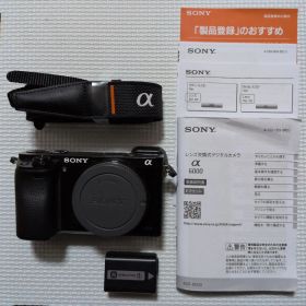 ソニー α6000 ILCE-6000 ボディ