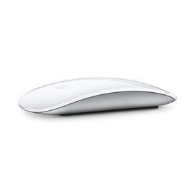 Apple Magic Mouse（USB-C）- ホワイト（Multi-Touch対応）MXK53ZA/A アップル純正 日本国内正規品 爆買 父の日