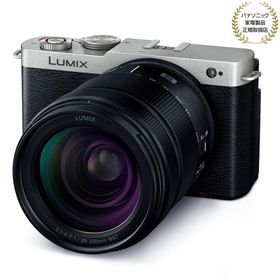 [新品]Panasonic パナソニック LUMIX S9 高倍率ズームレンズキット ダークシルバー(DC-S9H-S)