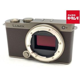 【中古】 【美品】 パナソニック LUMIX DC-S9-N ボディ チタンゴールド