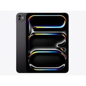 【多少のシュリンク破れ、箱のへこみがある場合があります】APPLE Wi-Fiモデル iPad Pro 11インチ Wi-Fi 256GB 2024年春モデル MVV83J/A [スペースブラック]