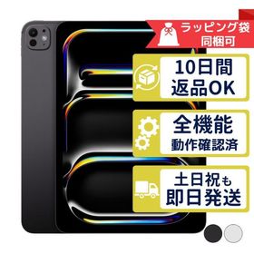 iPad Pro 11インチ M4 256GB APPLE Wi-Fi + Cellular SIMフリー 中古 Aランク 商品補償100日間 APPLE版SIMフリーorキャリア判定○品