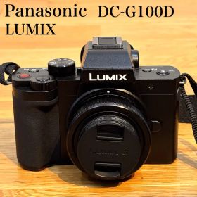 【極美品】Panasonic LUMIX DC-G100D デジタルカメラ