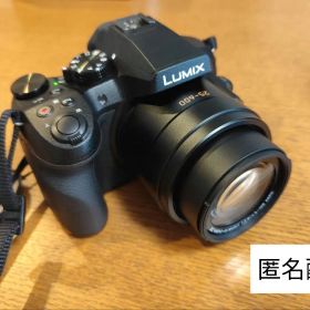 パナソニック デジタルカメラ 品番DMC-FZ300