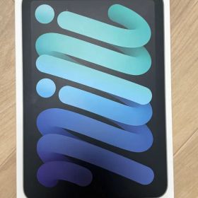 新品 iPad mini Wi-Fi Cellular 第７世代 128GB