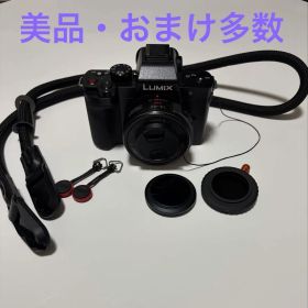 【美品】 【おまけ多数】Panasonic DC-G100D ミラーレス一眼