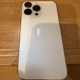 Apple iPhone 13 Pro シルバー256GB