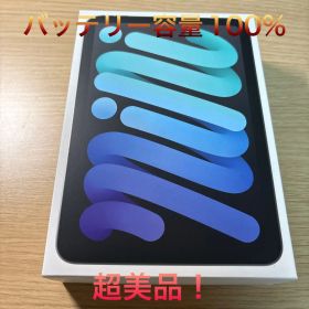 【超美品】iPad mini A17 Pro 128GB スペースグレイ