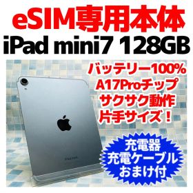 eSIM専用本体 Cellular iPad mini第7世代 本体 128GB
