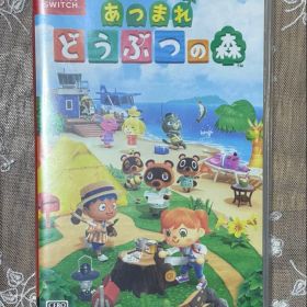 あつまれ どうぶつの森 Nintendo Switch