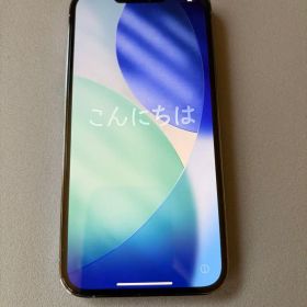 Apple iPhone 13 Pro シエラブルー 本体 箱付きSIMフリー