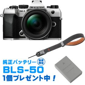 OM SYSTEM オーエムシステム OM-5 Mark II 12-45mm F4.0 PROレンズキット シルバー＋P-CB-296(ディープグレー) セット