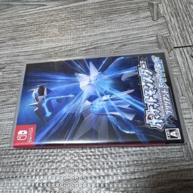 ポケットモンスター シャイニングパール Nintendo Switch
