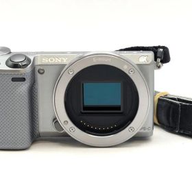 SONY α NEX-5T シルバー ボディ