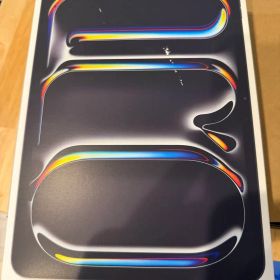 iPad pro 11インチ m5 256GB Wi-Fiモデル