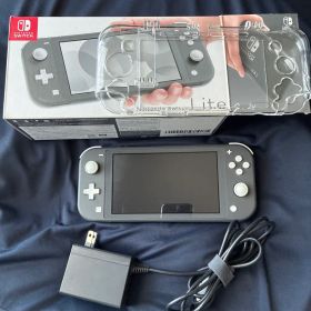 Nintendo Switch Lite グレー HDH-001 充電器付き