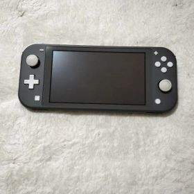 ジャンクNintendo Switch Lite グレー 本体 不動品