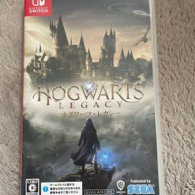 ホグワーツレガシー Nintendo Switch