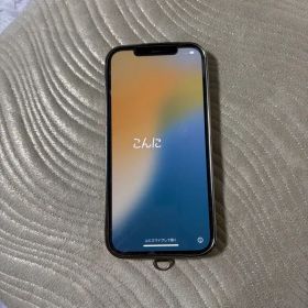 iPhone12ProMax ケース裏にひび割れあり 動作確認、初期化済み